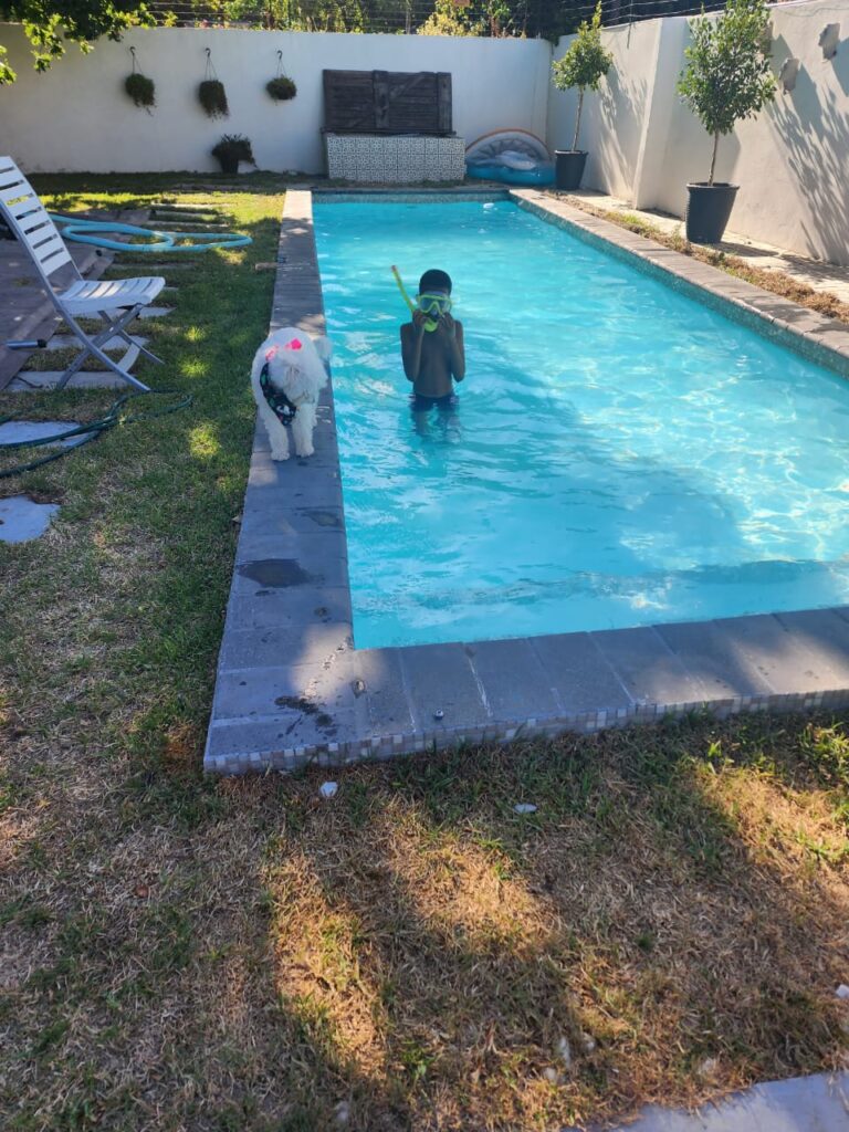 swimming pool installation cape town