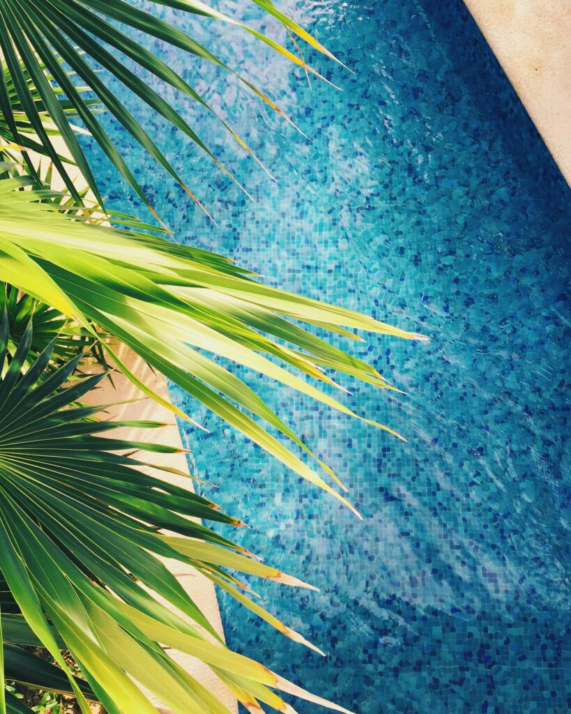pool installation in rondebosch